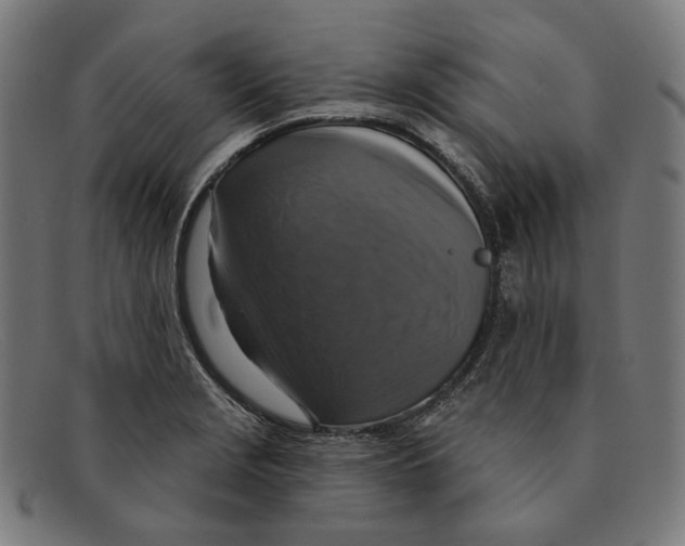 X0000091461229200709131728