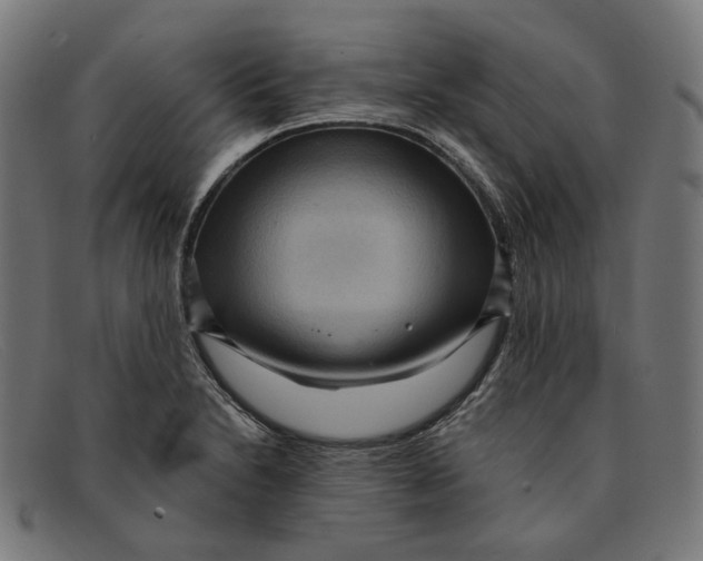 X0000091461230200709131728