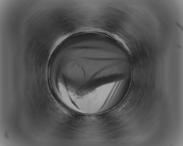X0000091461231200709131728