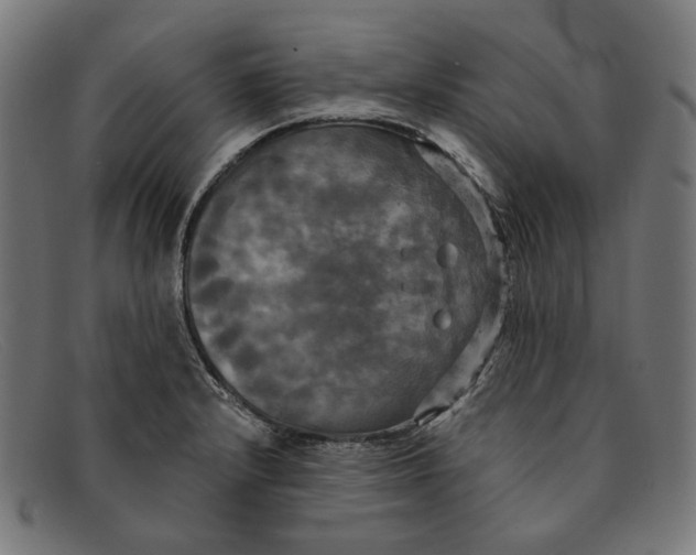 X0000091461232200709131728