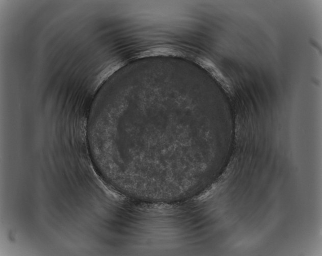 X0000091461233200709131728