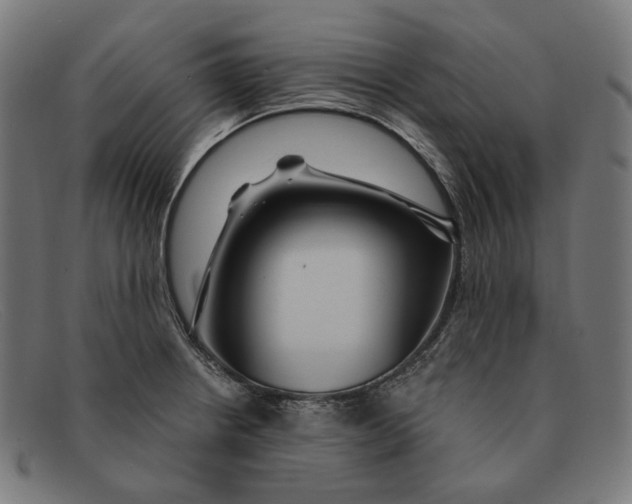 X0000091461234200709131728