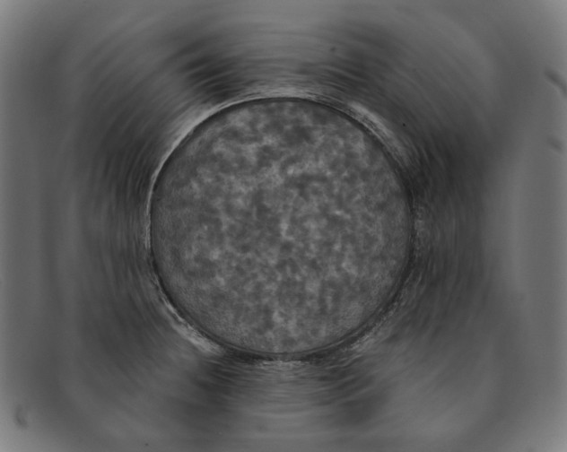 X0000091461236200709131728