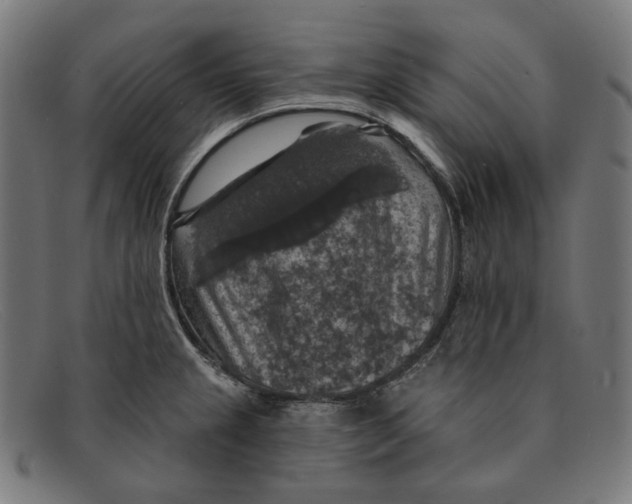 X0000091461237200709131728