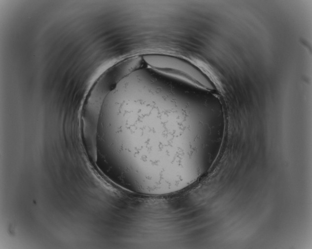 X0000091461238200709131728