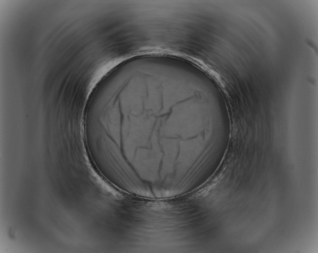 X0000091461239200709131728