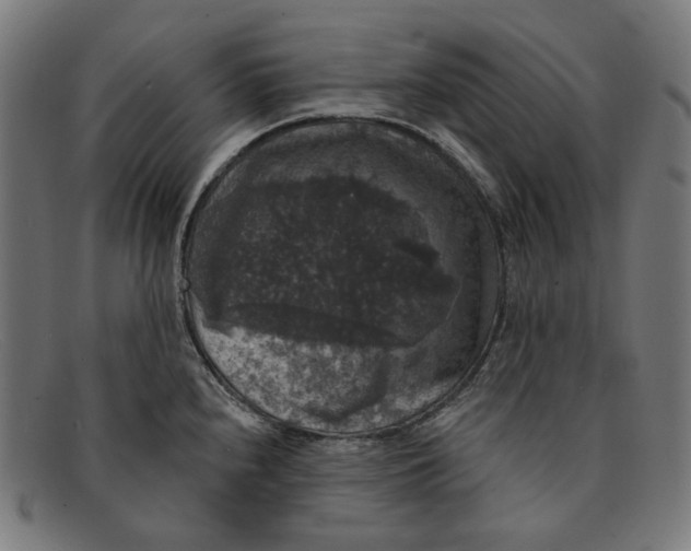X0000091461240200709131728