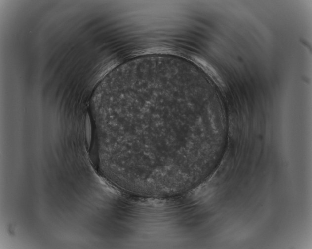 X0000091461241200709131728