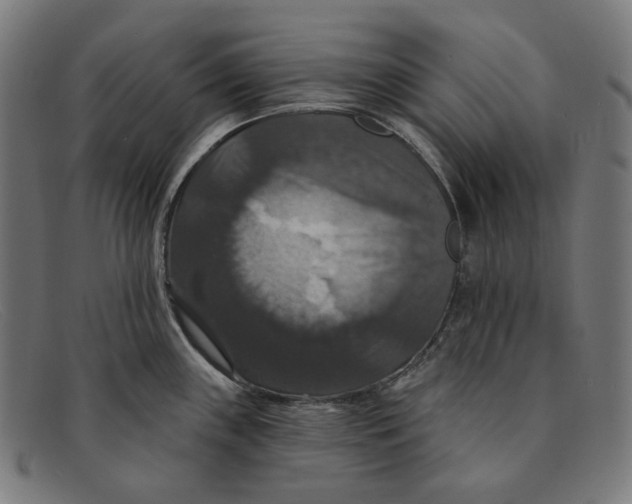 X0000091461243200709131728