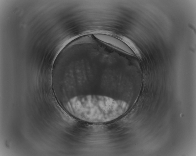 X0000091461244200709131728