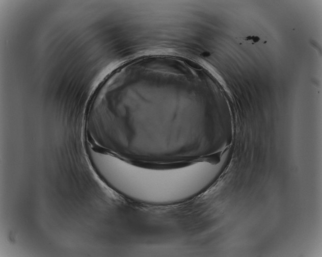 X0000091461245200709131728