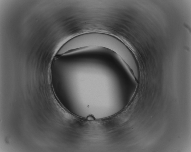 X0000091461246200709131728
