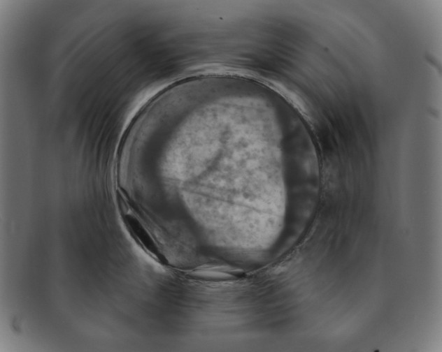 X0000091461247200709131728