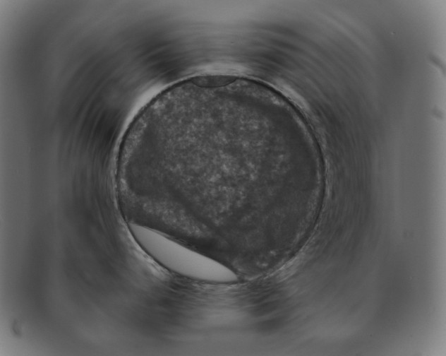 X0000091461248200709131728