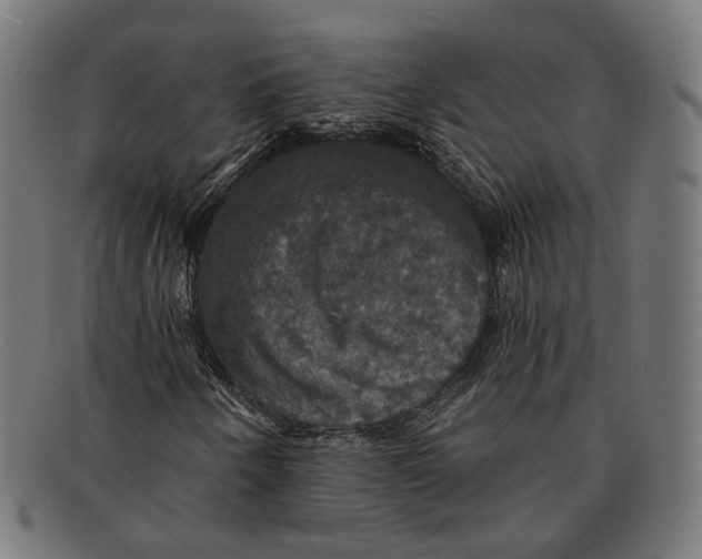 X0000091461250200709131727