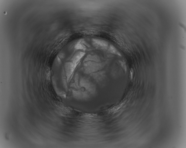 X0000091461251200709131727
