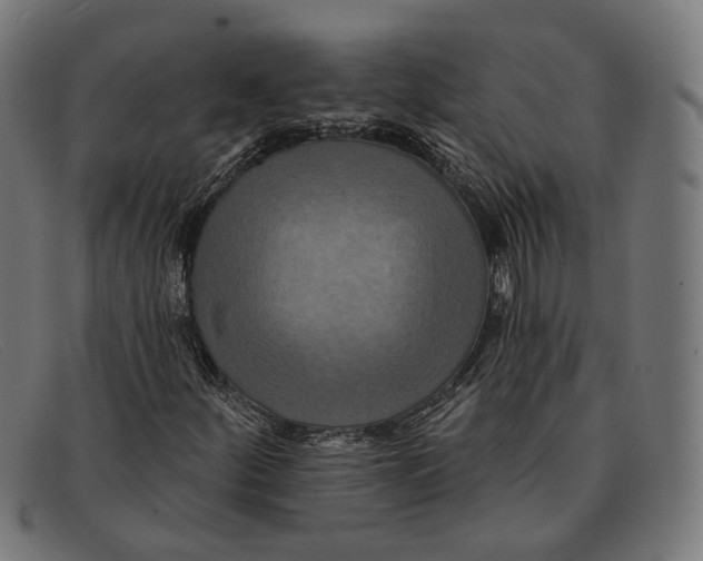 X0000091461252200709131727