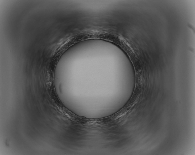 X0000091461253200709131727