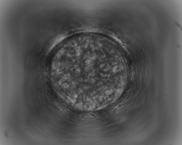 X0000091461255200709131727