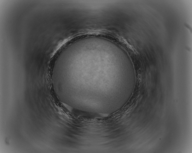 X0000091461256200709131727