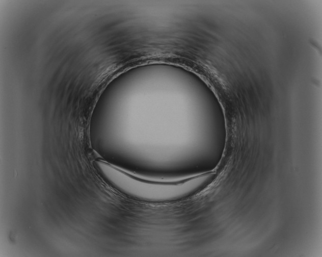 X0000091461257200709131727