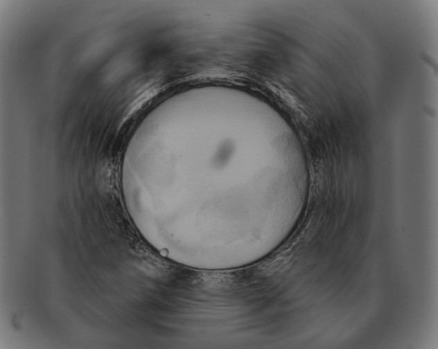 X0000091461258200709131727