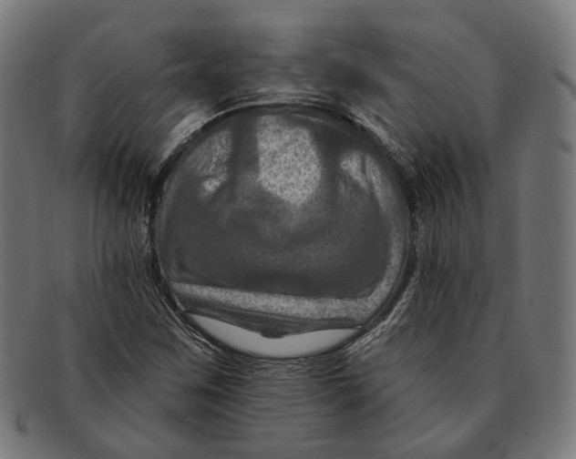 X0000091461259200709131727