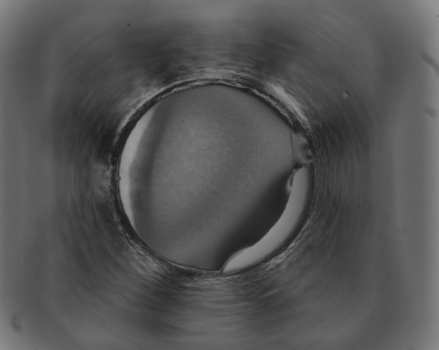X0000091461260200709131727