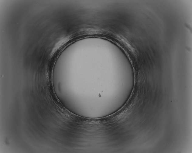 X0000091461261200709131727