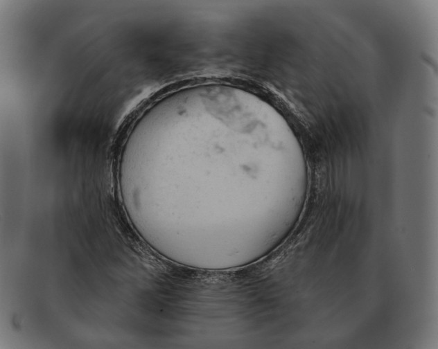 X0000091461262200709131727