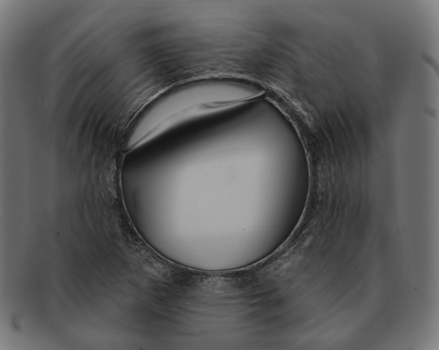 X0000091461265200709131727