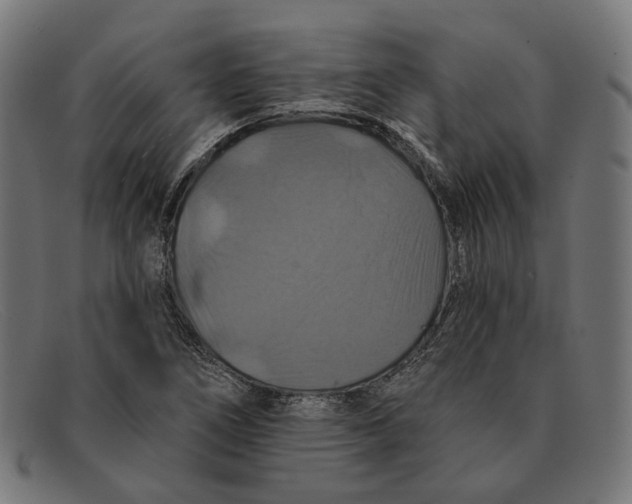 X0000091461266200709131727