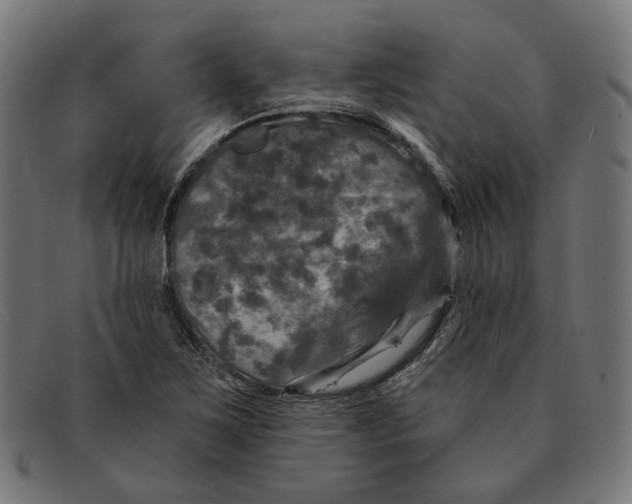 X0000091461267200709131727