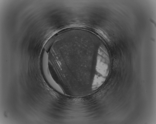 X0000091461268200709131727