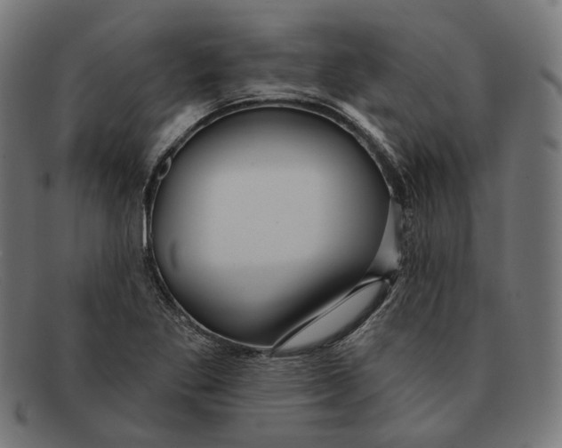 X0000091461269200709131727