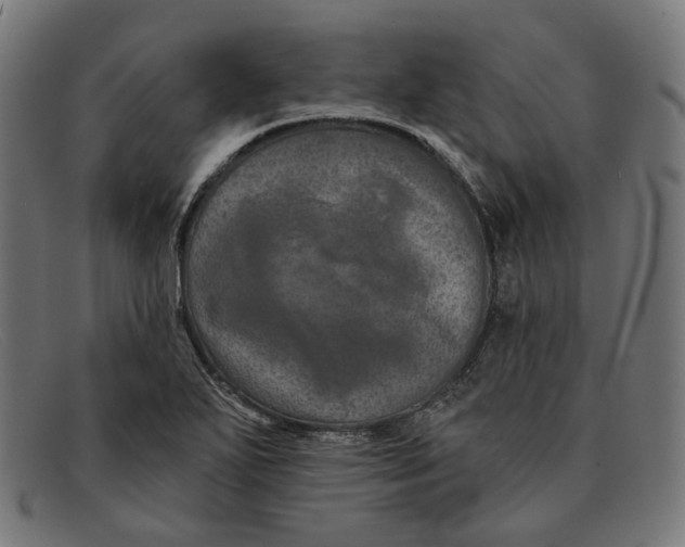 X0000091461271200709131727