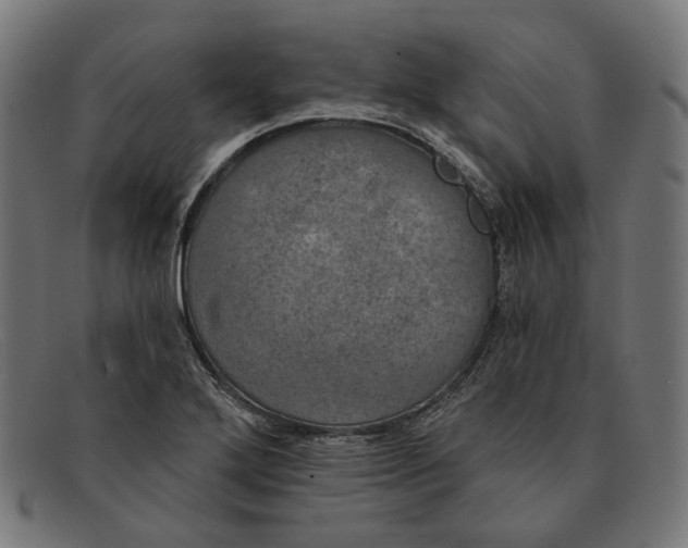 X0000091461272200709131727