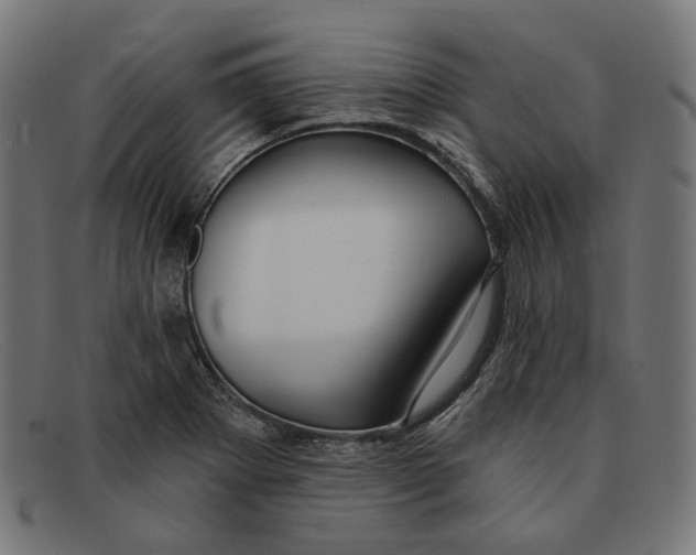 X0000091461273200709131727