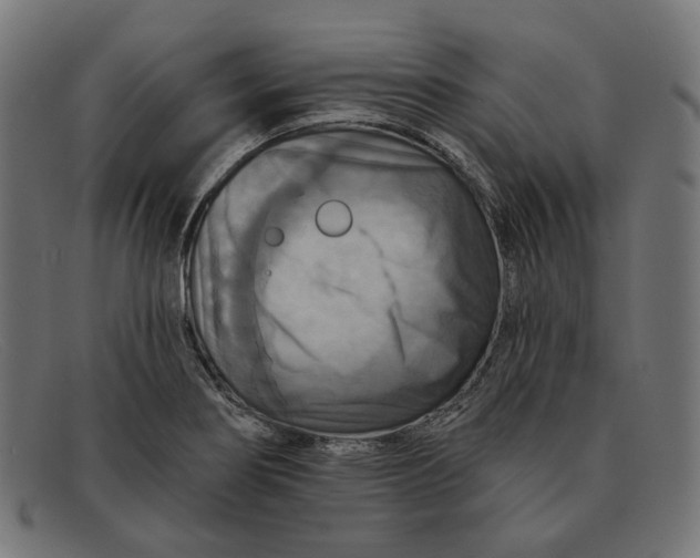 X0000091461274200709131727