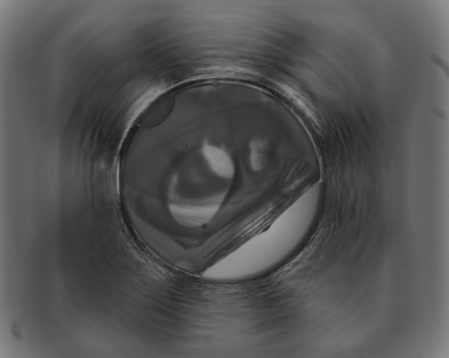 X0000091461275200709131727