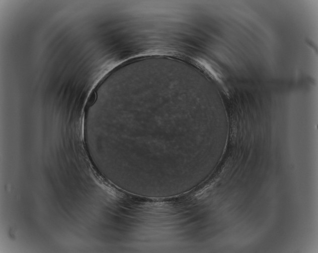X0000091461276200709131727