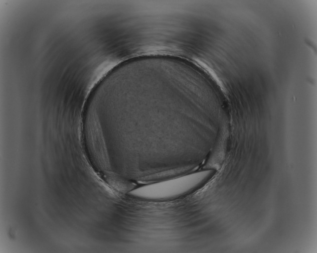 X0000091461277200709131727