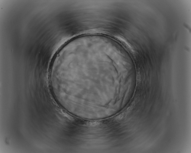 X0000091461278200709131727