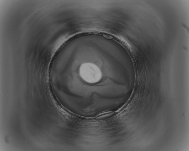 X0000091461279200709131727