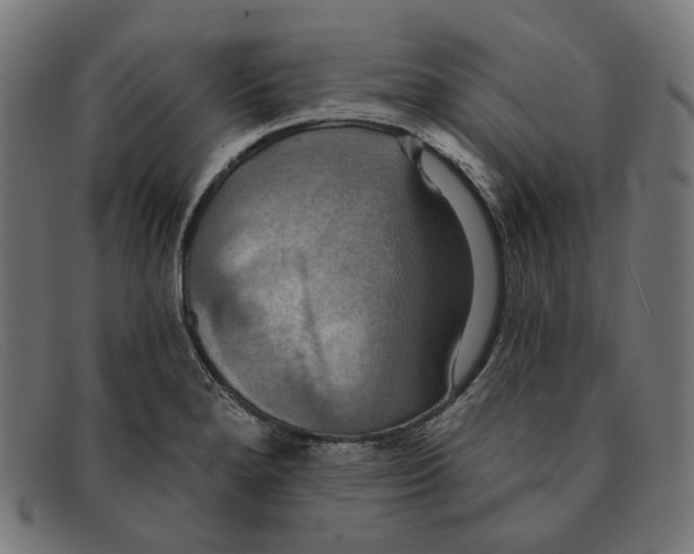 X0000091461280200709131727