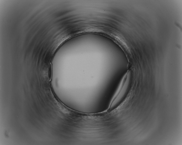 X0000091461281200709131727