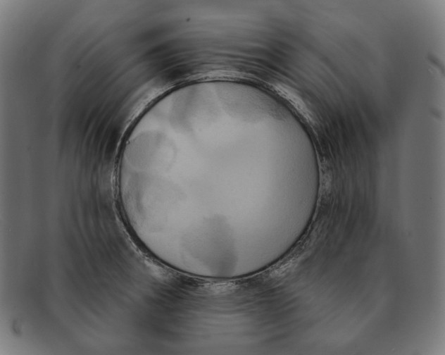 X0000091461282200709131727