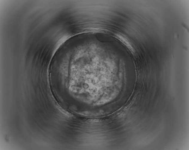 X0000091461283200709131727