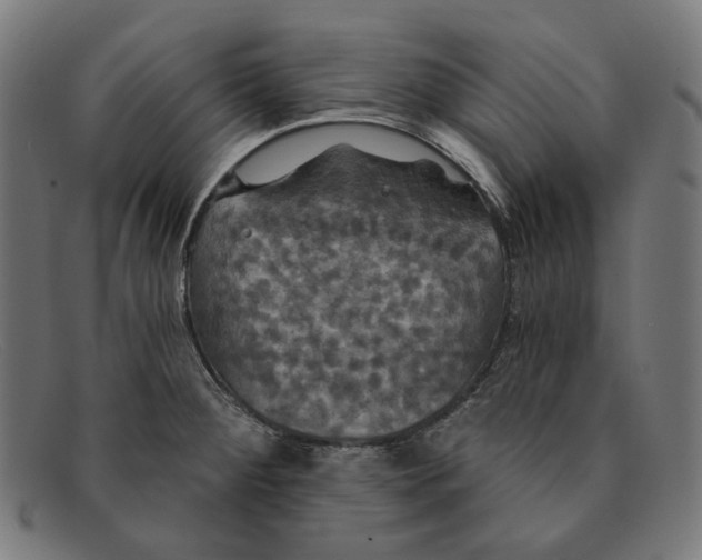 X0000091461284200709131727