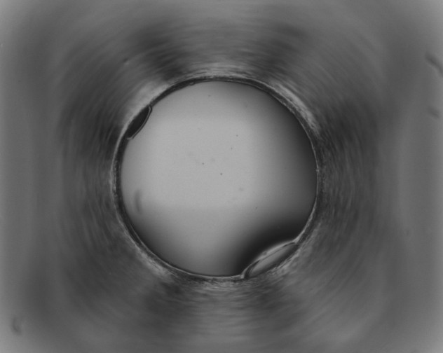 X0000091461285200709131727